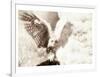 Owl Ascending-Theo Westenberger-Framed Art Print