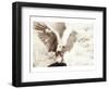 Owl Ascending-Theo Westenberger-Framed Art Print