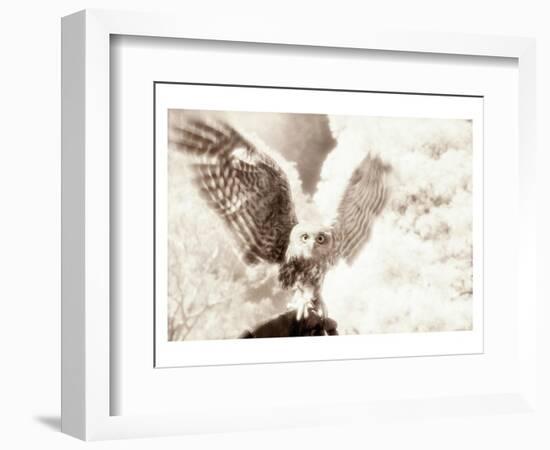 Owl Ascending-Theo Westenberger-Framed Art Print