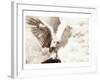 Owl Ascending-Theo Westenberger-Framed Art Print