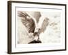 Owl Ascending-Theo Westenberger-Framed Art Print