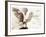 Owl Ascending-Theo Westenberger-Framed Art Print