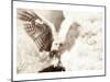 Owl Ascending-Theo Westenberger-Mounted Art Print