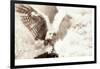 Owl Ascending-Theo Westenberger-Framed Photographic Print