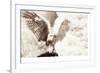 Owl Ascending-Theo Westenberger-Framed Photographic Print