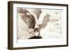 Owl Ascending-Theo Westenberger-Framed Photographic Print