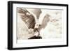 Owl Ascending-Theo Westenberger-Framed Photographic Print