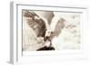 Owl Ascending-Theo Westenberger-Framed Photographic Print