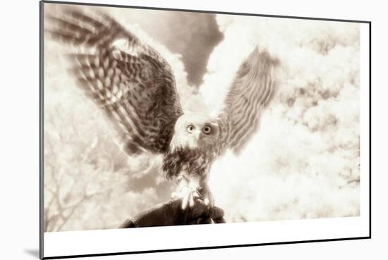 Owl Ascending-Theo Westenberger-Mounted Photographic Print