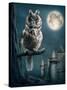 Owl Bird Sitting on Branch at Night-egal-Stretched Canvas