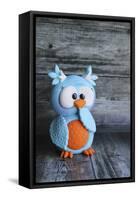 Owl Blue Ooops-null-Framed Stretched Canvas