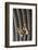 Owl Butterfly on Argus Wing Feathers-Darrell Gulin-Framed Photographic Print