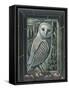 OWL BY MOONLIGHT, 2013-PJ Crook-Framed Stretched Canvas