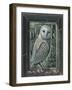 OWL BY MOONLIGHT, 2013-PJ Crook-Framed Giclee Print