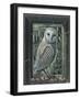 OWL BY MOONLIGHT, 2013-PJ Crook-Framed Giclee Print