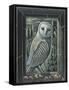 OWL BY MOONLIGHT, 2013-PJ Crook-Framed Stretched Canvas