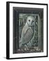 OWL BY MOONLIGHT, 2013-PJ Crook-Framed Giclee Print