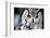 Owl close up Portrait-Kirill_M-Framed Photographic Print