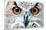 OWL - CLOSE-null-Mounted Poster