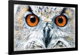 Owl - Close-Trends International-Framed Poster