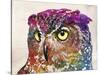 Owl Drawing-Mark Ashkenazi-Stretched Canvas