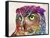 Owl Drawing-Mark Ashkenazi-Framed Stretched Canvas