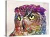 Owl Drawing-Mark Ashkenazi-Stretched Canvas