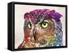 Owl Drawing-Mark Ashkenazi-Framed Stretched Canvas