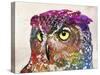 Owl Drawing-Mark Ashkenazi-Stretched Canvas