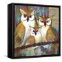 Owl Family Portrait-Blenda Tyvoll-Framed Stretched Canvas