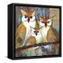 Owl Family Portrait-Blenda Tyvoll-Framed Stretched Canvas