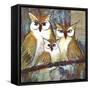 Owl Family-Blenda Tyvoll-Framed Stretched Canvas