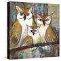 Owl Family-Blenda Tyvoll-Stretched Canvas