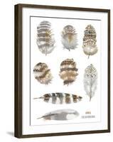 Owl Feathers-Sandra Jacobs-Framed Giclee Print