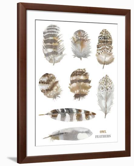 Owl Feathers-Sandra Jacobs-Framed Giclee Print