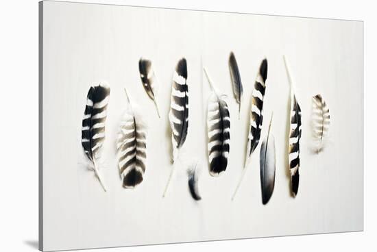 Owl Feathers-Elizabeth Kay-Stretched Canvas