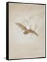 Owl Flying Against a Moonlit Sky, 1836-1837-Caspar David Friedrich-Framed Stretched Canvas