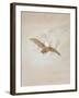 Owl Flying Against a Moonlit Sky, 1836-1837-Caspar David Friedrich-Framed Giclee Print