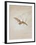 Owl Flying Against a Moonlit Sky, 1836-1837-Caspar David Friedrich-Framed Giclee Print