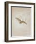 Owl Flying Against a Moonlit Sky, 1836-1837-Caspar David Friedrich-Framed Giclee Print