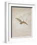 Owl Flying Against a Moonlit Sky, 1836-1837-Caspar David Friedrich-Framed Giclee Print