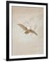 Owl Flying Against a Moonlit Sky, 1836-1837-Caspar David Friedrich-Framed Giclee Print