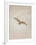 Owl Flying Against a Moonlit Sky, 1836-1837-Caspar David Friedrich-Framed Giclee Print