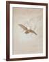 Owl Flying Against a Moonlit Sky, 1836-1837-Caspar David Friedrich-Framed Giclee Print