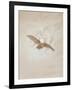 Owl Flying Against a Moonlit Sky, 1836-1837-Caspar David Friedrich-Framed Giclee Print