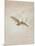 Owl Flying Against a Moonlit Sky, 1836-1837-Caspar David Friedrich-Mounted Premium Giclee Print