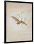 Owl Flying Against a Moonlit Sky, 1836-1837-Caspar David Friedrich-Framed Premium Giclee Print