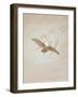 Owl Flying Against a Moonlit Sky, 1836-1837-Caspar David Friedrich-Framed Giclee Print
