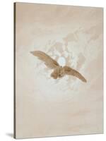 Owl Flying Against a Moonlit Sky, 1836-1837-Caspar David Friedrich-Stretched Canvas