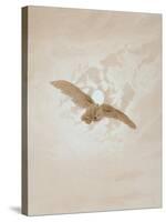 Owl Flying Against a Moonlit Sky, 1836-1837-Caspar David Friedrich-Stretched Canvas